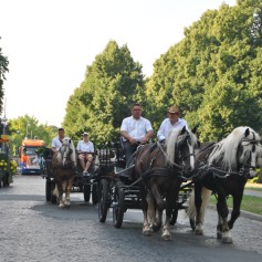 ron-paulik-ehrengast-schuetzenumzug-hannover-2015-004